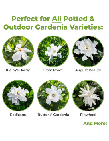 Fertilizante Líquido Gardenia Perfect Plants 226g - Potencia Floración