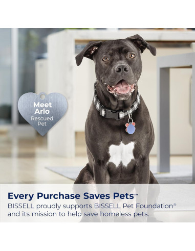 Aspiradora Vertical Bissell Compacto Turbo CleanView 4.7kg