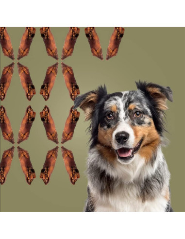 Golosinas Naturales para Perros ROAM Pezuña de Ciervo 2 Unidades