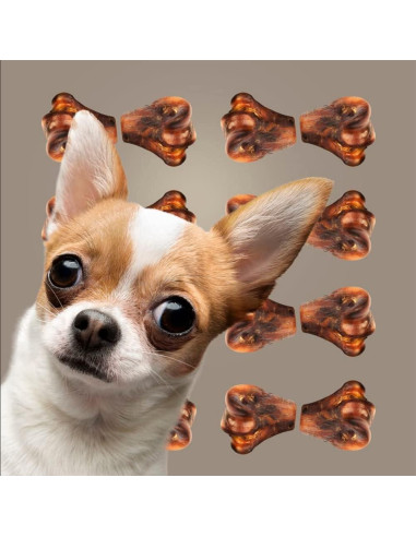 Golosinas Masticables para Perros ROAM Avestruz 2 Unidades