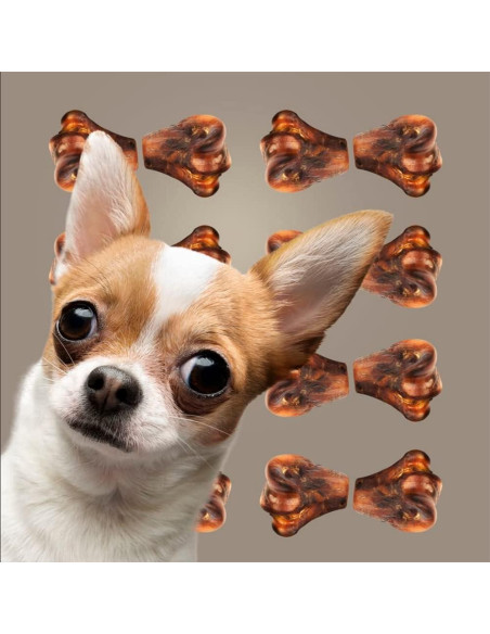 Golosinas Masticables para Perros ROAM Avestruz 2 Unidades