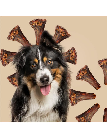 Golosinas Masticables para Perros Roam Avestruz 2 Unidades