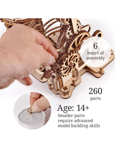 iDventure Carrera de Canicas de Madera DIY Dragón - Kit 3D