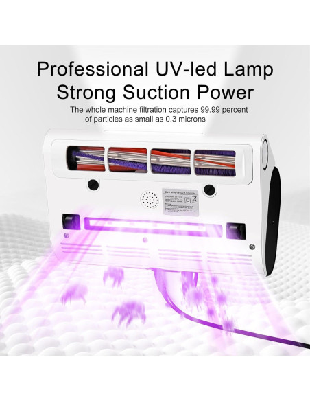 Aspiradora de Mano Dizikzo 500W con Filtro HEPA y Luz LED