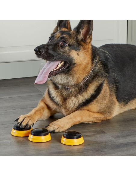 Botones de Habla para Mascotas Hambre por Palabras - Set de 3