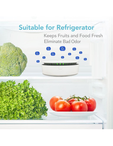 Purificador de Aire Portátil 2 en 1 Ozono e Iónico Recargable