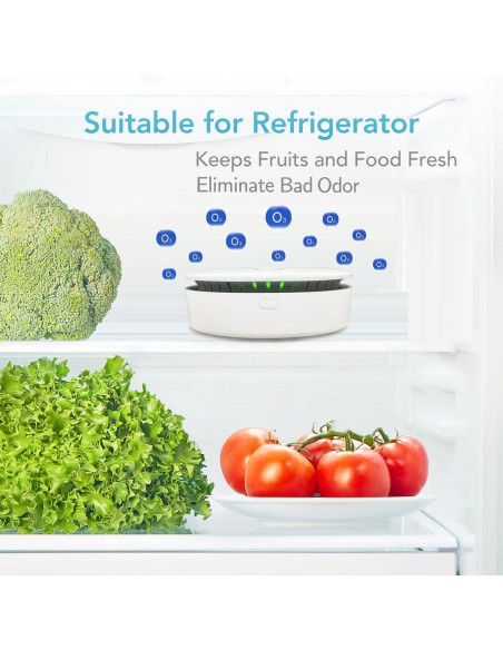 Purificador de Aire Portátil 2 en 1 Ozono e Iónico Recargable