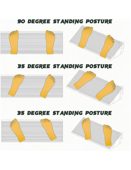 Tablero de Equilibrio ARCHAEUS para Estiramiento y Fortalecimiento