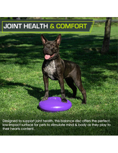 Disco de Equilibrio ProsourceFit 35.56 cm con Bomba - Púrpura