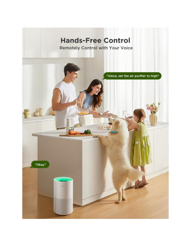 Purificador de Aire GoveeLife H7128 Inteligente HEPA 39.5 cm