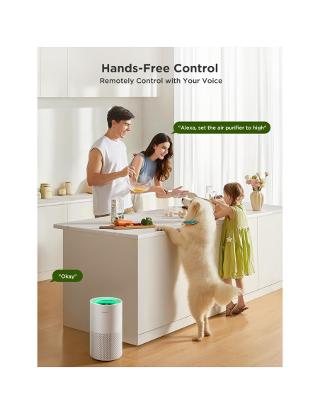 Purificador de Aire GoveeLife H7128 Inteligente HEPA 39.5 cm