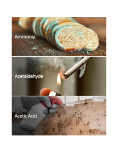 Filtros de Reemplazo Coway AP-1512HH - HEPA y Carbono 2