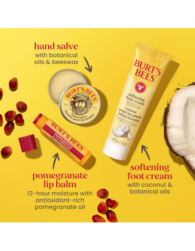 Kit de Cuidado de Piel Burt's Bees - 6 Productos Viaje