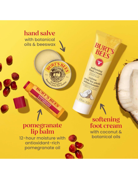Kit de Cuidado de Piel Burt's Bees - 6 Productos Viaje