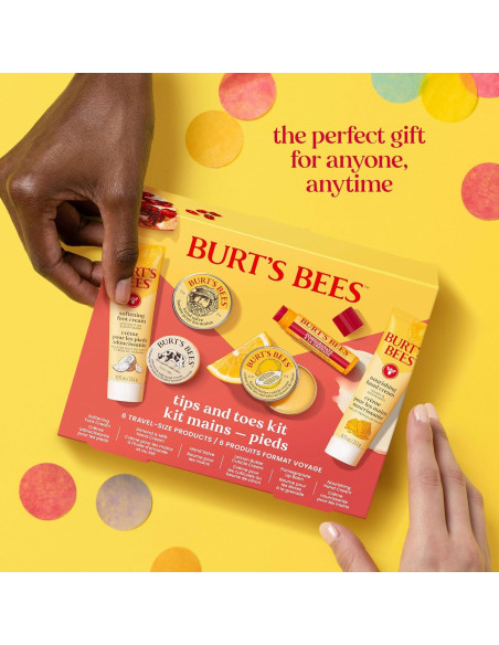 Kit de Cuidado de Piel Burt's Bees - 6 Productos Viaje