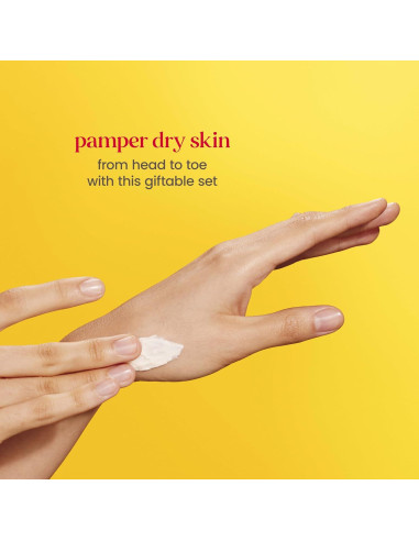 Kit de Cuidado de Piel Burt's Bees - 6 Productos Viaje