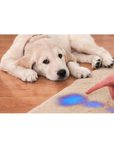 Linterna UV GKG Mini 2 Pack 395nm 3 Modos Zoom 9.1cm