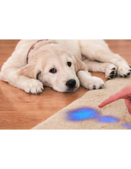 Linterna UV GKG Mini 2 Pack 395nm 3 Modos Zoom 9.1cm