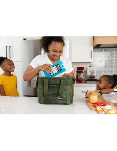 Bloques de Hielo Igloo 25199, Gel Ultratherm, 450g