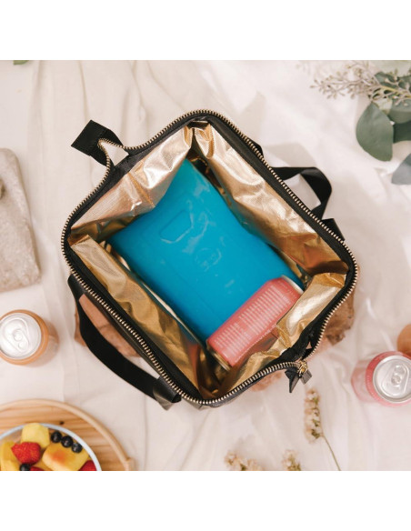 Bloques de Hielo Igloo 25199, Gel Ultratherm, 450g