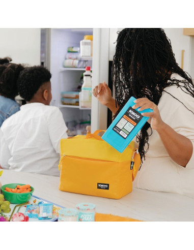 Bloques de Hielo Igloo 25199, Gel Ultratherm, 450g