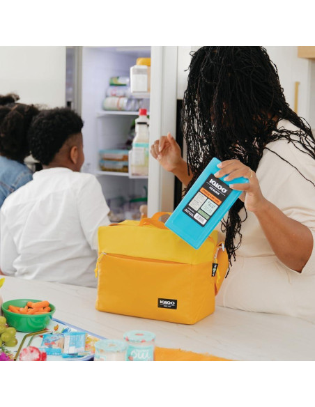 Bloques de Hielo Igloo 25199, Gel Ultratherm, 450g