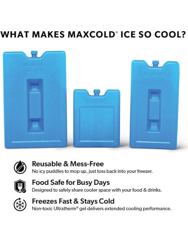 Bloques de Hielo Igloo 25199, Gel Ultratherm, 450g