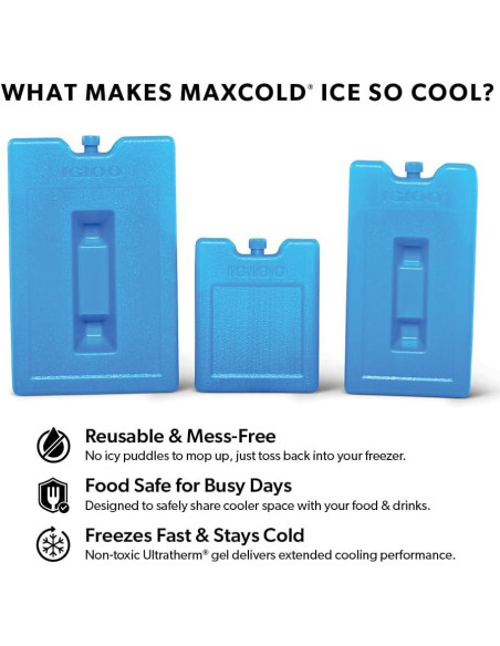 Bloques de Hielo Igloo 25199, Gel Ultratherm, 450g