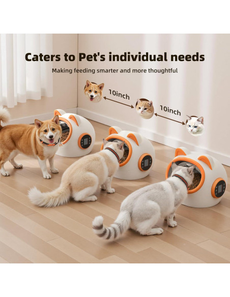 Comedero Inteligente RFID Kaitol para Gatos - 4 Modos, 680g