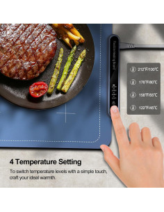Bandeja Calentadora Eléctrica Qimh 63x38cm 4 Temperaturas 2