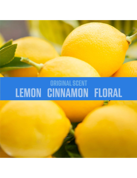 Gel Eliminador de Olores Ozium 127 g Original Paquete de 4