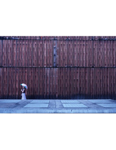 Cámara sin Espejo Sony Alpha A6100 con Lente Zoom 16-50mm 2