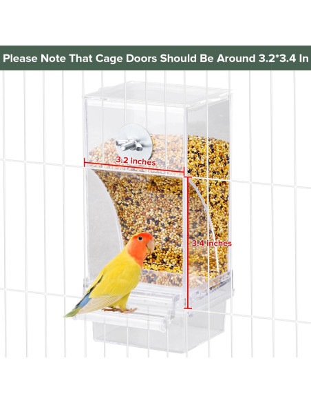 Conjunto Comedero y Dispensador de Agua Verde para Aves