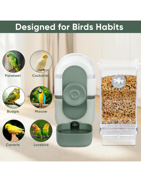 Conjunto Comedero y Dispensador de Agua Verde para Aves