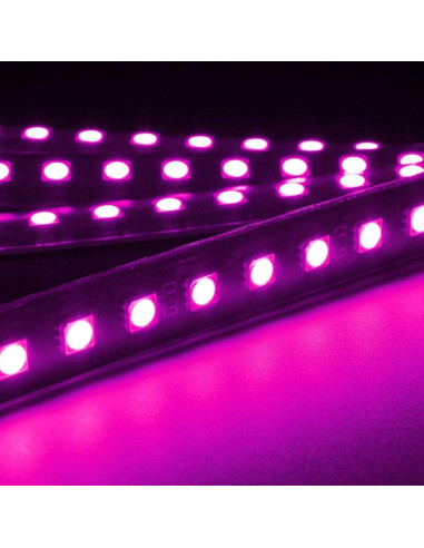 Tira de Luz LED Rosa para Coche EJ's SUPER CAR 4pcs IP65