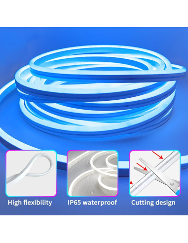 Tira de Luz LED Neón 10m RGB Segrass IP65 Control Remoto