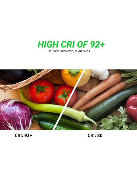 Tira LED de neón JOYLIT 24V 5M 240LEDs/M 3000K Blanco cálido