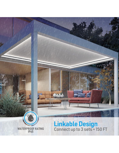 Luces LED de Cuerda Neón LEONLITE 15.24M IP67 Blanco Puro