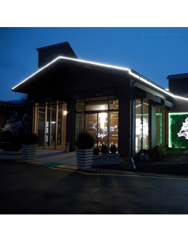 Luces LED de Cuerda Neón LEONLITE 15.24M IP67 Blanco Puro