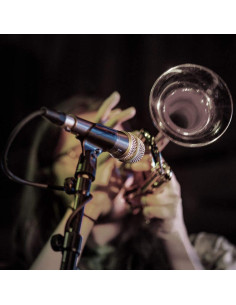 Micrófono Dinámico Supercardioide Shure BETA 57A - Instrumento 2