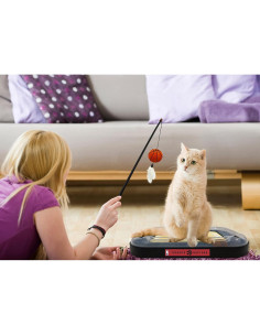 Juguete Rascador para Gatos NBA Pets First Baloncesto 36 x 28 cm 2