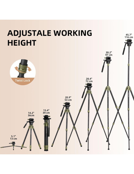 Trípode de fibra de carbono Cayer CH10L con cabezal fluido S1