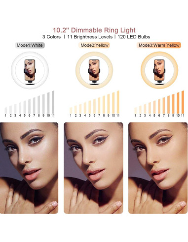 Anillo de Luz LED Xeneo DS-R10 80cm con Soporte para Teléfono