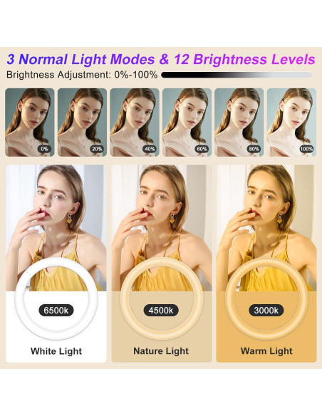 Luz de Anillo STALLY 31.24 cm con Trípode Ajustable 160 cm