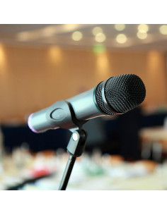 Brazo de Micrófono Ajustable Genérico Metal Negro 36.1 cm 2