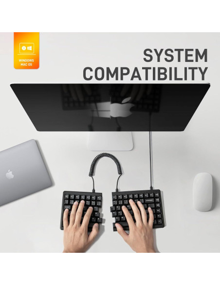 Teclado Mecánico Ergonómico Mistel MD770 TKL Cherry MX PBT