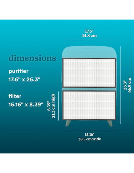 Filtro de Reemplazo True HEPA Homedics AP-C500/AP-C550 - 2 Unidades