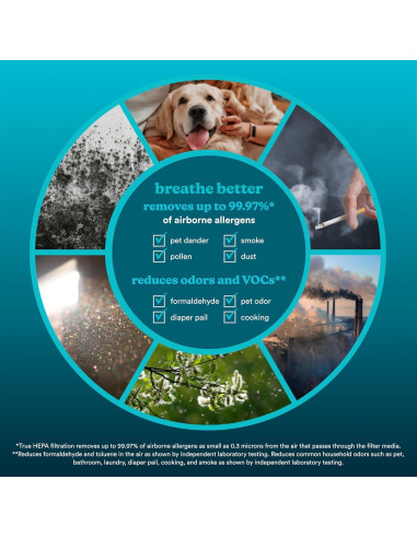 Filtro de Reemplazo True HEPA Homedics AP-C500/AP-C550 - 2 Unidades