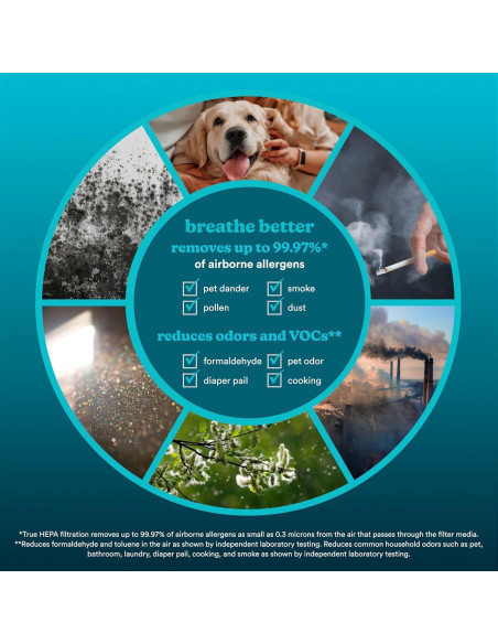 Filtro de Reemplazo True HEPA Homedics AP-C500/AP-C550 - 2 Unidades