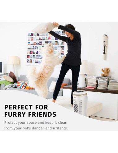 Filtro de Reemplazo HEPA-Tipo HoMEDiCS AT-PETODR para Purificadores